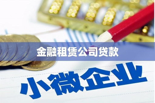 津市金融租赁公司贷款