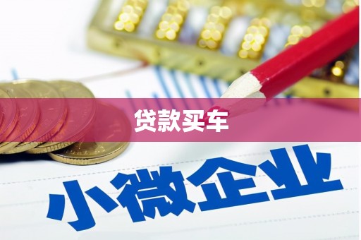 津市贷款买车
