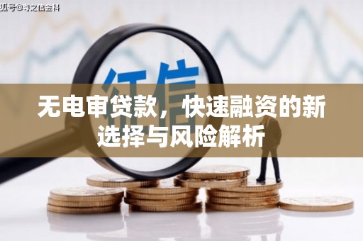 津市无电审贷款，快速融资的新选择与风险解析