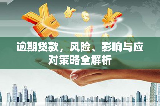 津市逾期贷款，风险、影响与应对策略全解析