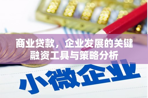津市商业贷款，企业发展的关键融资工具与策略分析