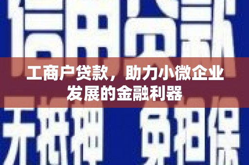 津市工商户贷款，助力小微企业发展的金融利器