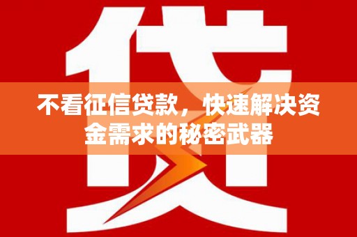 津市不看征信贷款，快速解决资金需求的秘密武器
