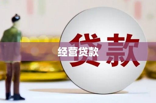 津市经营贷款