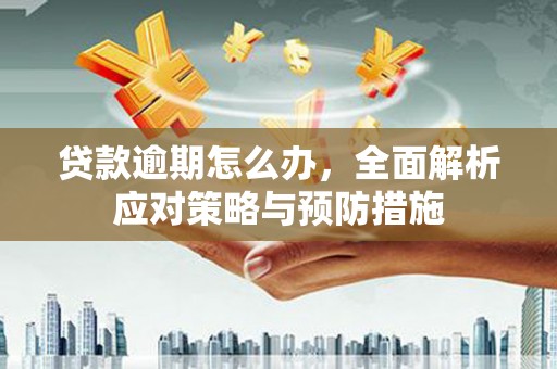 津市贷款逾期怎么办，全面解析应对策略与预防措施