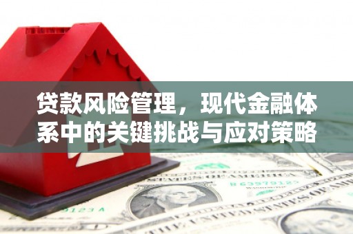 津市贷款风险管理，现代金融体系中的关键挑战与应对策略