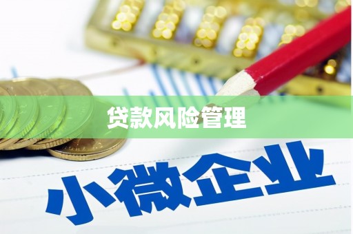 津市贷款风险管理