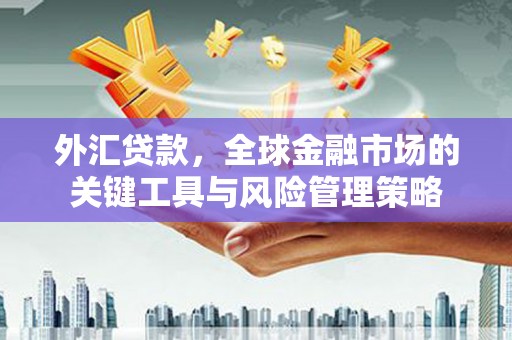 津市外汇贷款，全球金融市场的关键工具与风险管理策略
