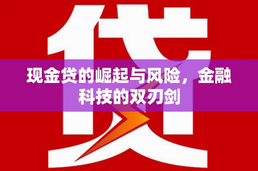 津市现金贷的崛起与风险，金融科技的双刃剑