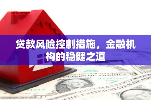 津市贷款风险控制措施，金融机构的稳健之道