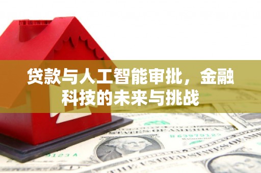 津市贷款与人工智能审批，金融科技的未来与挑战