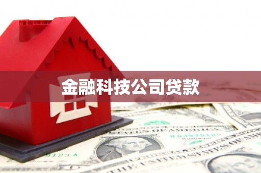 津市金融科技公司贷款
