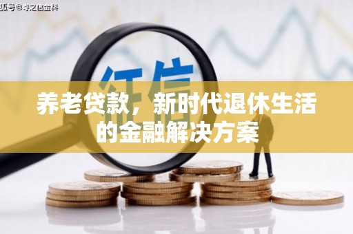 津市养老贷款，新时代退休生活的金融解决方案