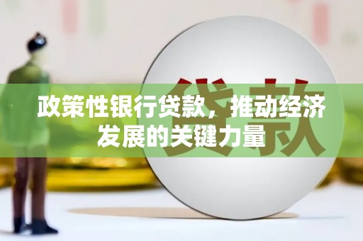 津市政策性银行贷款，推动经济发展的关键力量