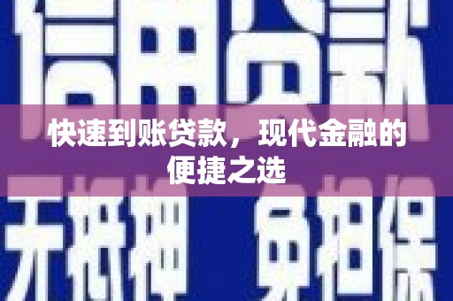 津市快速到账贷款，现代金融的便捷之选