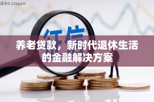 津市养老贷款，新时代退休生活的金融解决方案