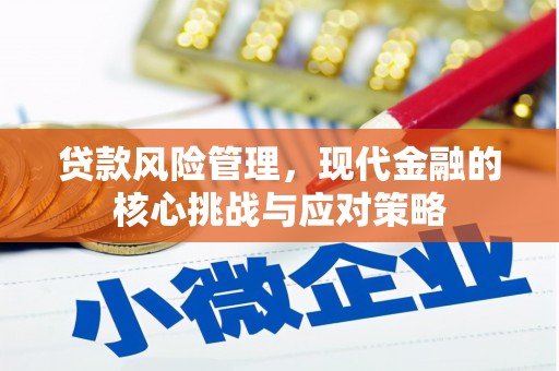 津市贷款风险管理，现代金融的核心挑战与应对策略