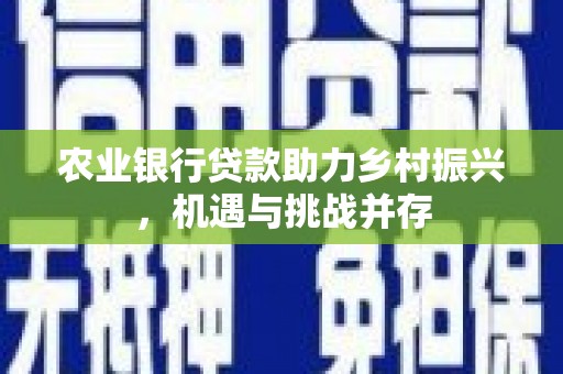 津市农业银行贷款助力乡村振兴，机遇与挑战并存