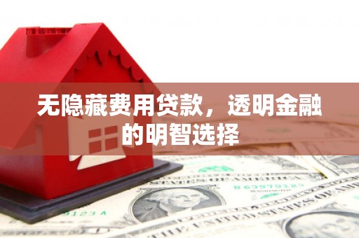 津市无隐藏费用贷款，透明金融的明智选择