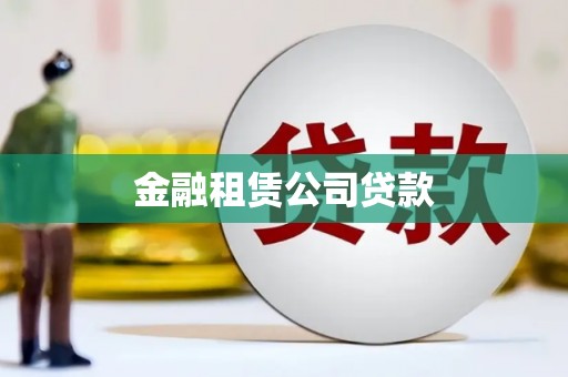 津市金融租赁公司贷款