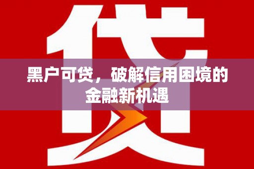 津市黑户可贷，破解信用困境的金融新机遇