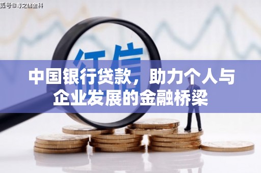 津市中国银行贷款，助力个人与企业发展的金融桥梁