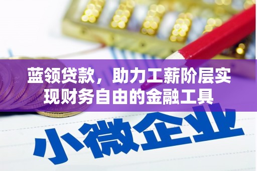 津市蓝领贷款，助力工薪阶层实现财务自由的金融工具
