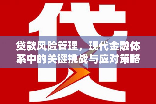 津市贷款风险管理，现代金融体系中的关键挑战与应对策略