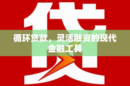 津市循环贷款，灵活融资的现代金融工具