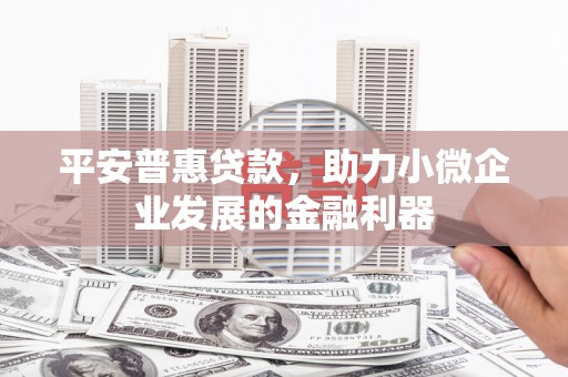 津市平安普惠贷款，助力小微企业发展的金融利器