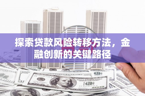 津市探索贷款风险转移方法，金融创新的关键路径