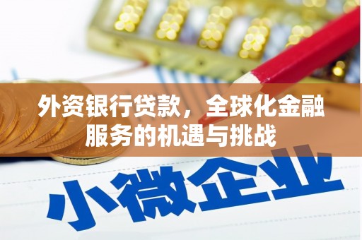 津市外资银行贷款，全球化金融服务的机遇与挑战