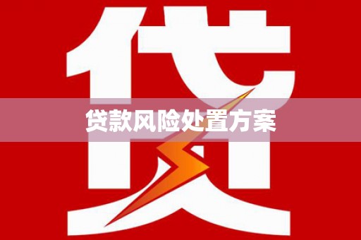 津市贷款风险处置方案